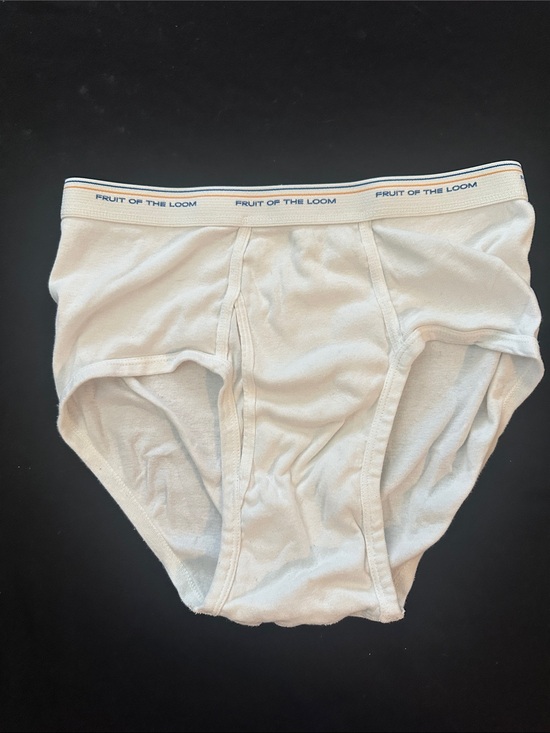 Fruit of the Loom Other - Fruit of the Loom Men's White Briefs with Branded Waistband
